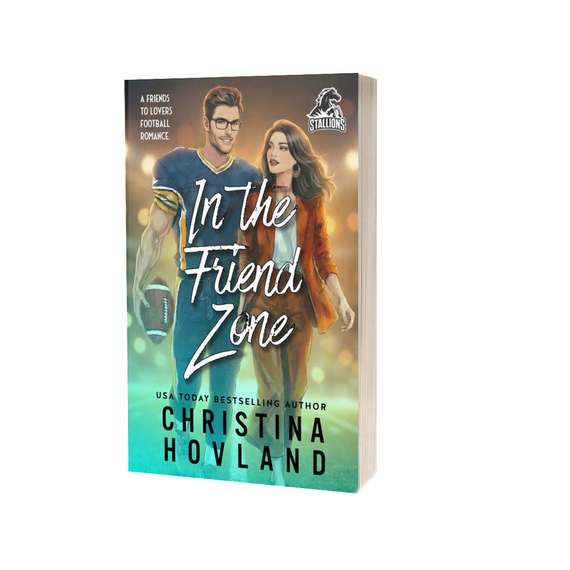 In The Friend Zone Paperback